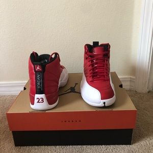 Air Jordan 12 Alternate